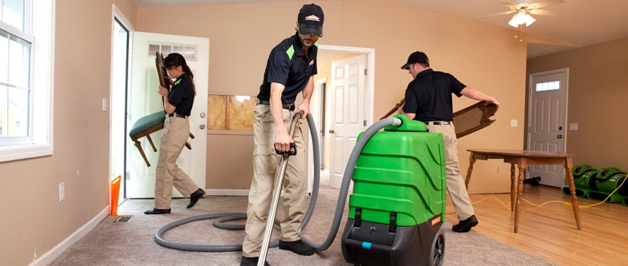 Wakefield, MA cleaning services